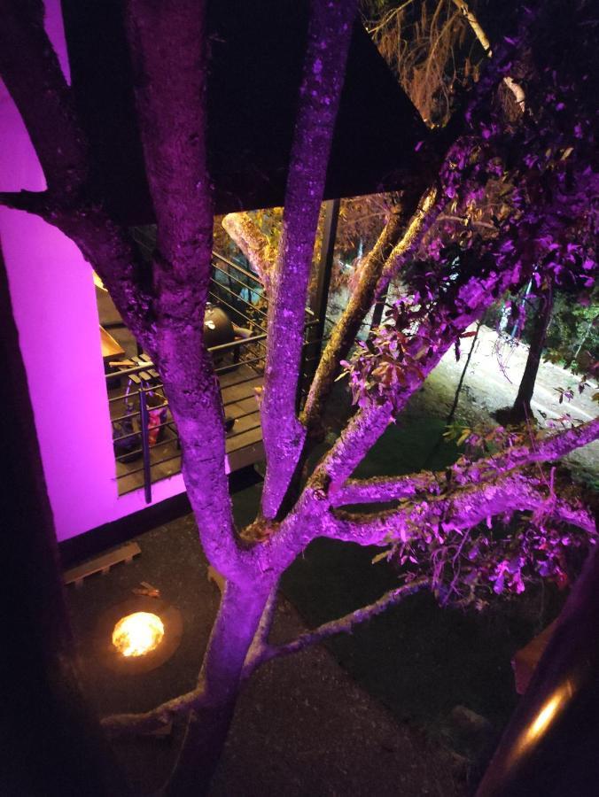Cabanas San Marcos Mazamitla Dış mekan fotoğraf